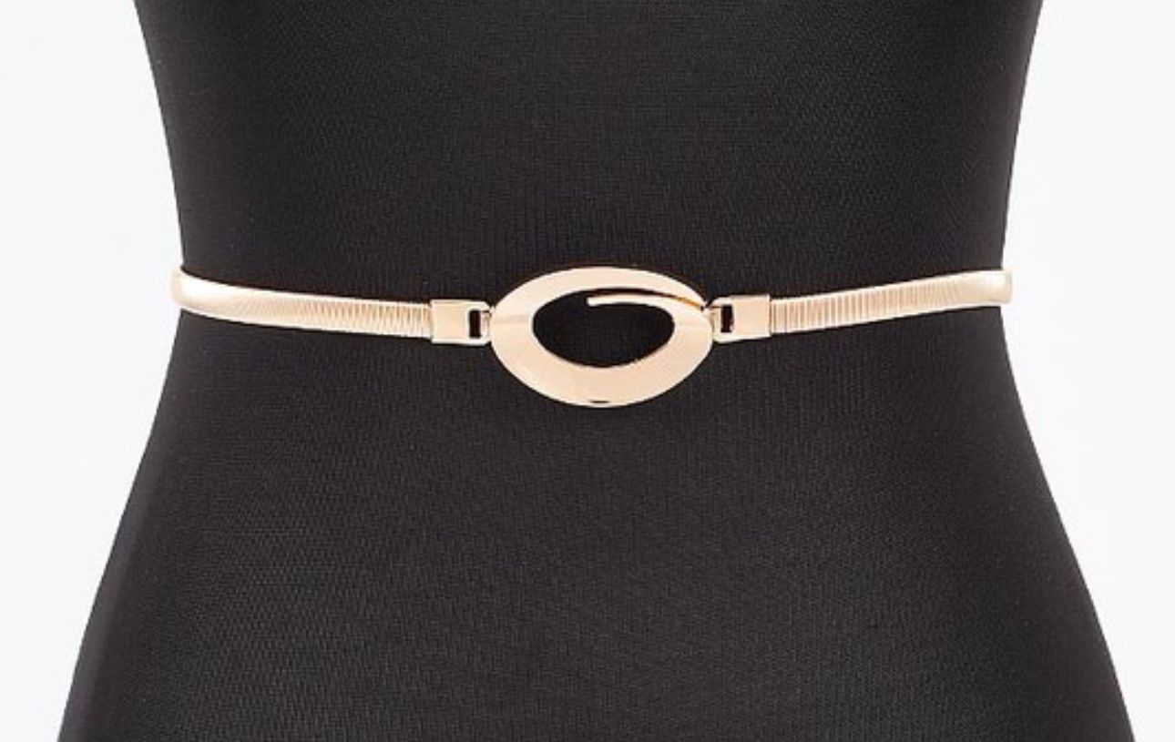Metal Spring Belt