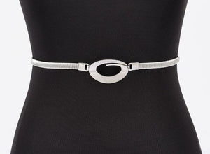 Metal Spring Belt