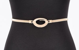 Metal Spring Belt
